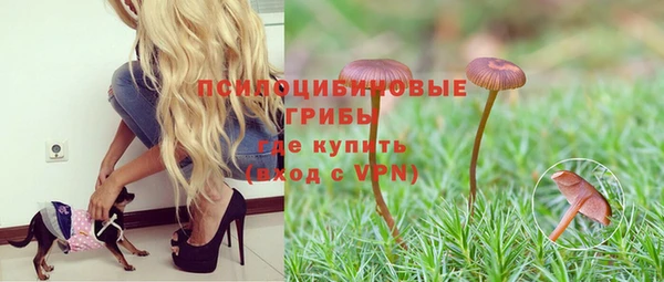 Альфа ПВП Зерноград
