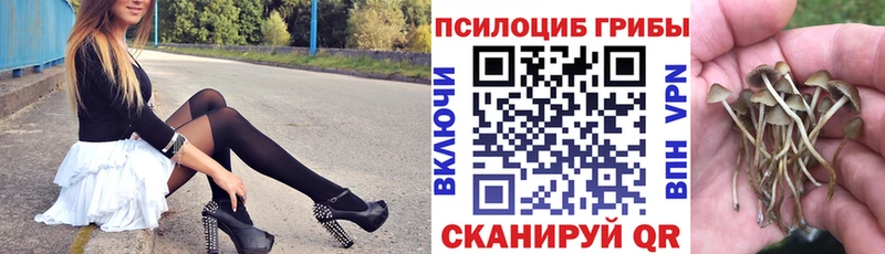 Галлюциногенные грибы Psilocybine cubensis  Купить закладки  Баймак 